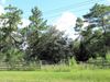 5471 County Road 218 photo